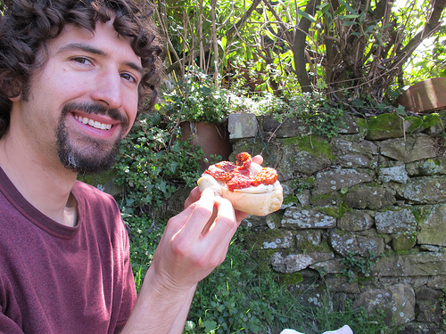 High Quality Trail Food