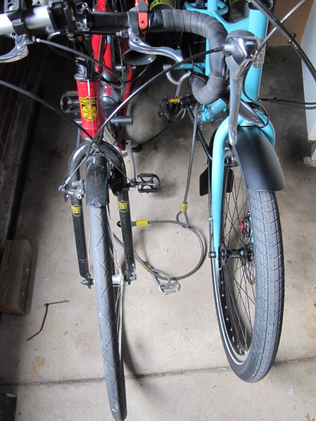 Baby Jake on the left, Roadrunner on the right